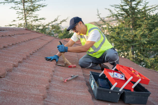 Best Roof Gutter Cleaning  in Bremen, OH